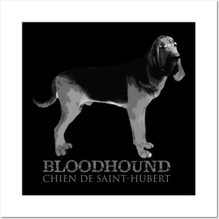 Bloodhound Posters and Art